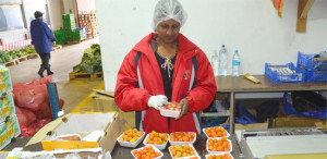 Ile Maurice alimenter le marché mozambicain