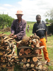 Malawi Importance du secteur forestier