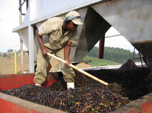 Fazenda Samambaia washing station3