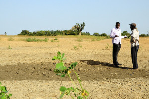 Agriculture Mali (Photo de CGIAR Climate - Flickr)
