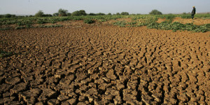 RTEmagicC_drought-24649_3236-small_01.jpg