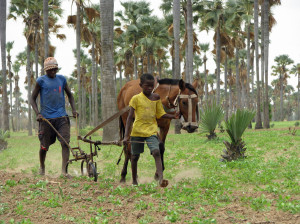 original_$paysan et fils