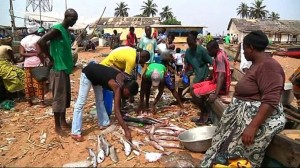 L’Afrique-de-l’Ouest-victime-de-la-pêche-pirate