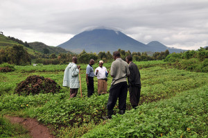 ouganda-agriculture