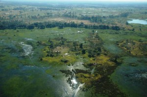 circuit-botswana-okavango