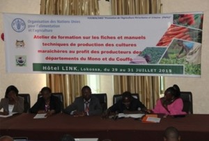 fao-benin