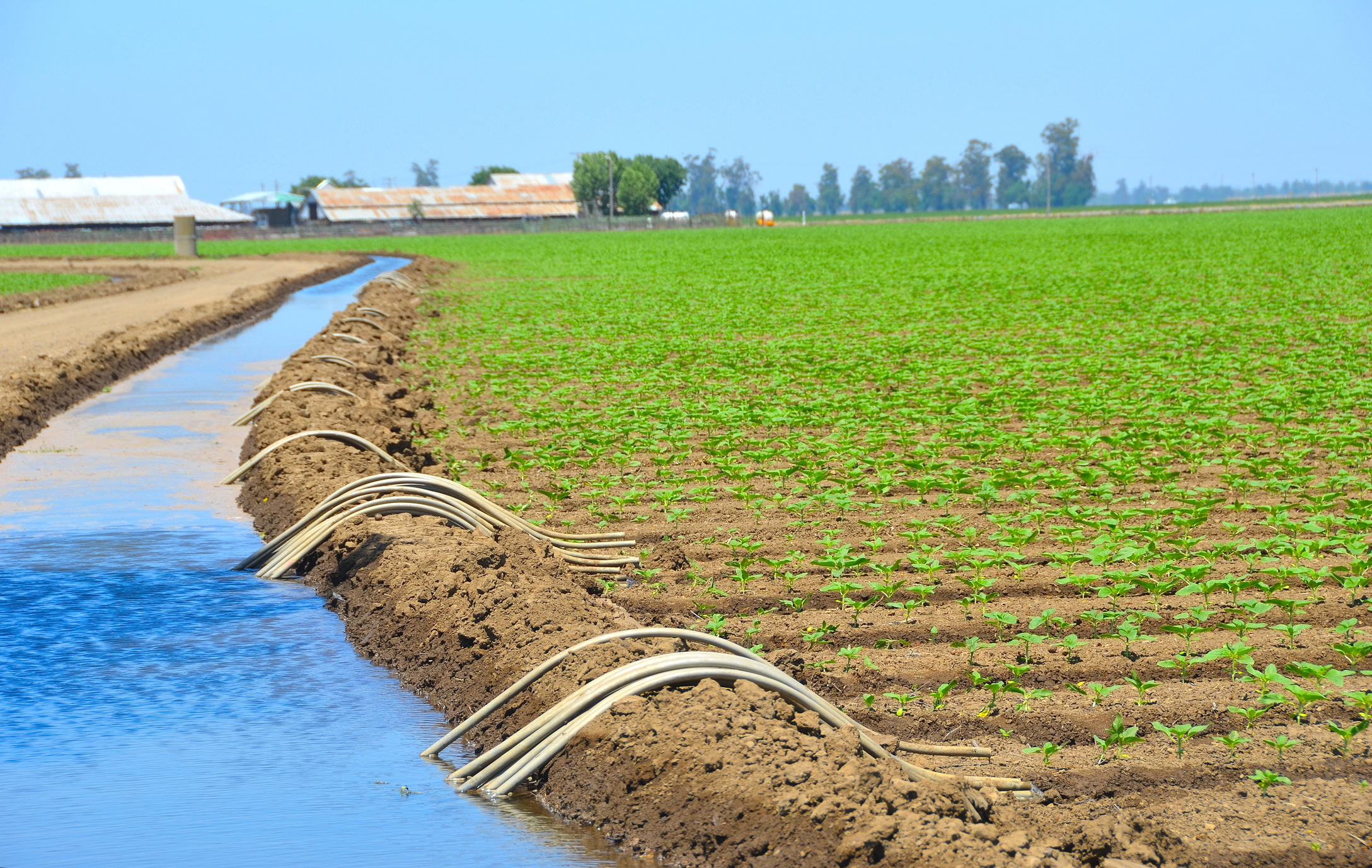 Полив водой из реки. Вода в сельском хозяйстве. Орошение почвы. Сельское хозяйство полив. Осушение и орошение почв.