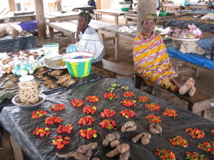 pavpal-burkina