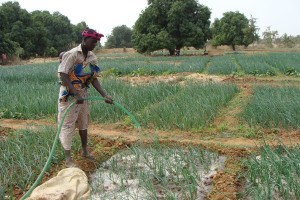 agri-burkina