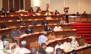 assemblee-nationale_cameroun