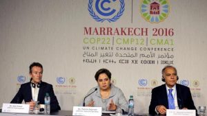 cop22-meeting