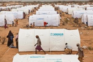 unhcr